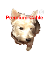 Premium-cable